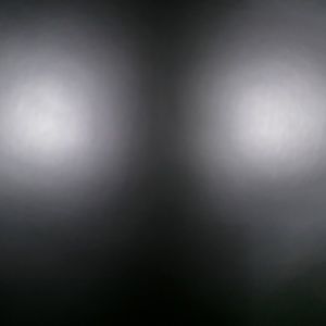 Meet your Posher, Beverly