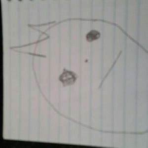 Meet your Posher, Ann