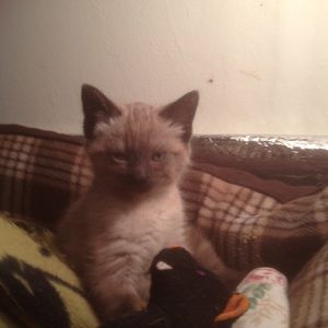 Meet your Posher, Theresa