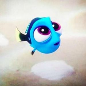 Meet your Posher, Kadigah