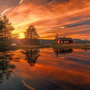 Meet your Posher, Heidi