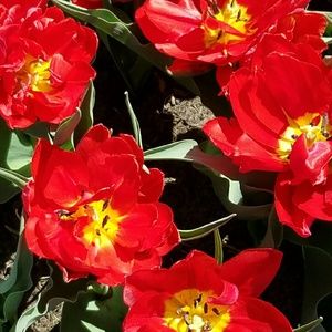 Meet your Posher, Beverly