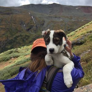 Meet your Posher, Mackenzie