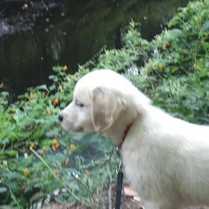 Meet your Posher, Lucy