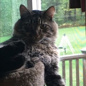 Meet your Posher, Angela