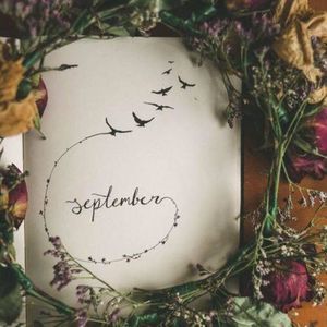 Meet your Posher, Jocelin