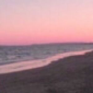 Meet your Posher, Lizzie