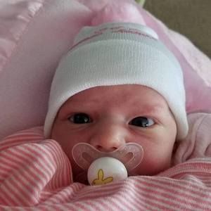 Meet your Posher, Shelley