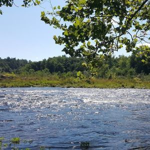 Meet your Posher, Joshua