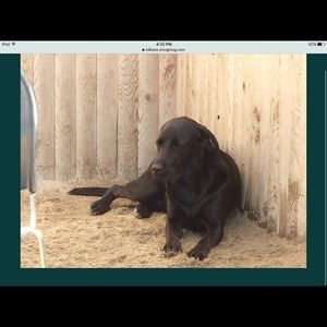 Meet your Posher, Esther