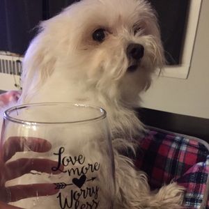 Meet your Posher, Amber