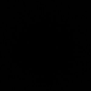 Meet your Posher, Caren