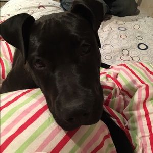 Meet your Posher, Alina