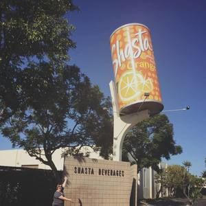 Meet your Posher, Shasta