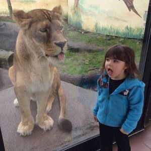 Meet your Posher, Tim