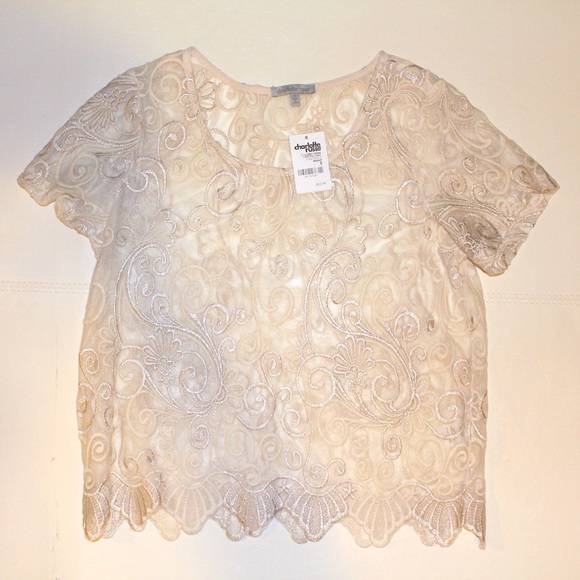 Beautiful Sheer Lace Embroidered Top - Picture 3 of 4