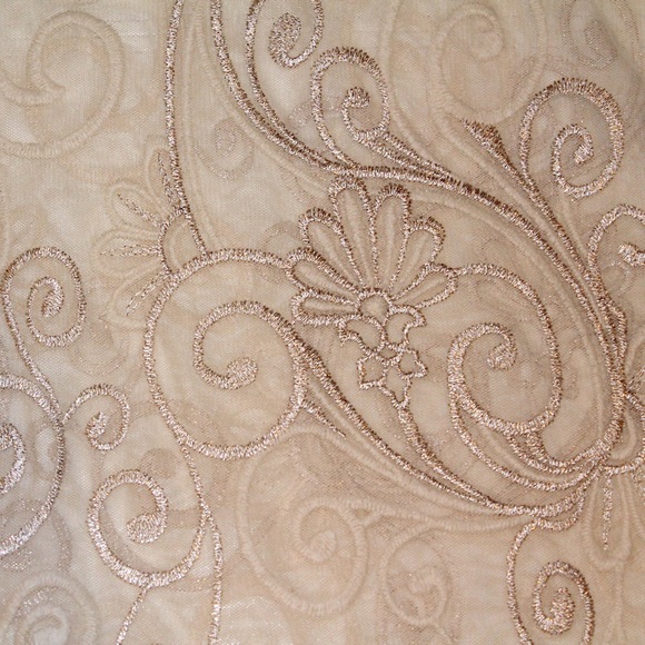 Beautiful Sheer Lace Embroidered Top - Picture 4 of 4