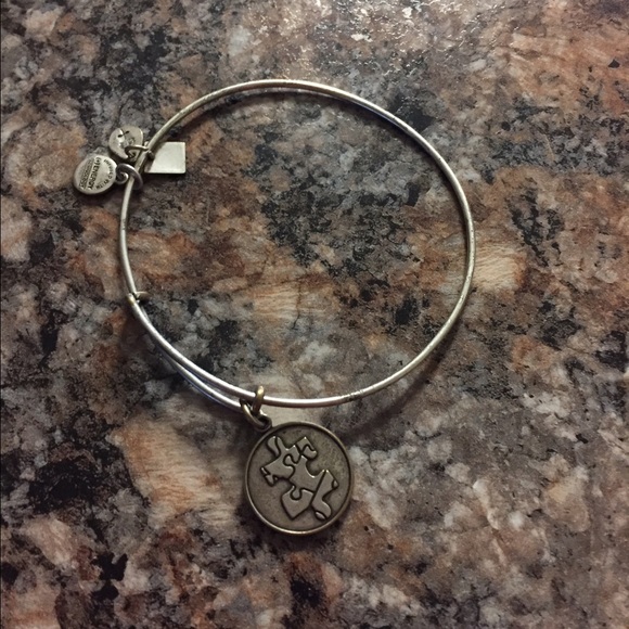 Autism Awareness Alex& Ani