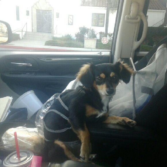 Meet your Posher, Stephen - Picture 1 of 1