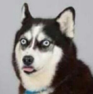 Meet your Posher, Vicky