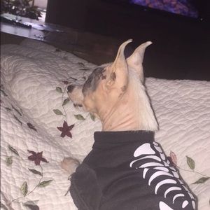 Meet your Posher, Catherine