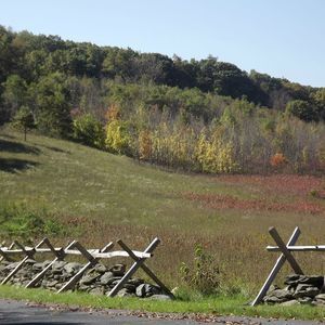 Meet your Posher, Cassandra