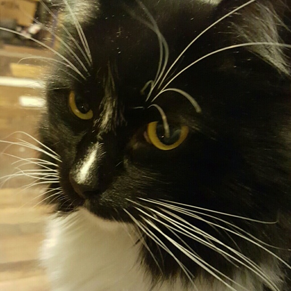 Meet your Posher, Brian