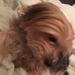 Meet your Posher, Sonya