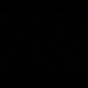 Meet your Posher, Dina