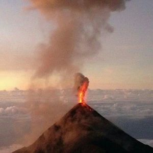 Meet your Posher, Gilder