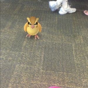 Meet your Posher, Henna