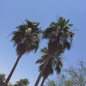 Meet your Posher, Ylloh