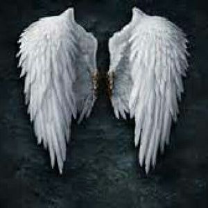 Meet your Posher, Valencia