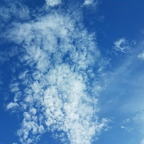 Meet your Posher, Kami