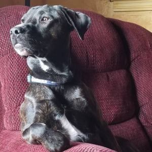 Meet your Posher, Jadelynn