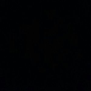 Meet your Posher, Janis