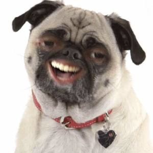 Meet your Posher, Demetrius