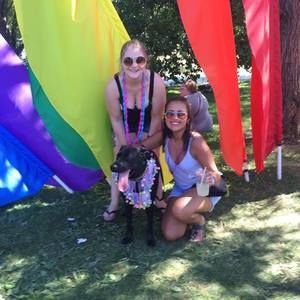 Meet your Posher, Grace