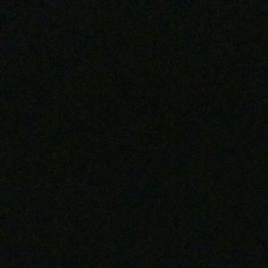 Meet your Posher, Beverly