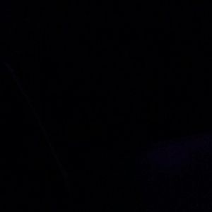 Meet your Posher, Jerry