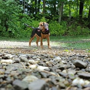 Meet your Posher, Kaitlyn