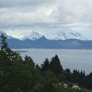 Meet your Posher, Holly