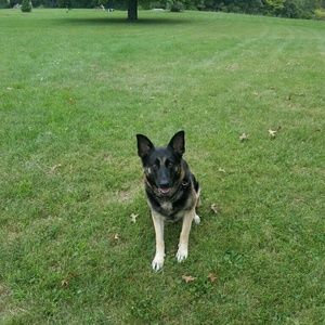 Meet your Posher, Sherry