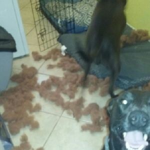 Meet your Posher, Terry