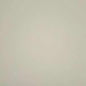 Meet your Posher, Scarlett