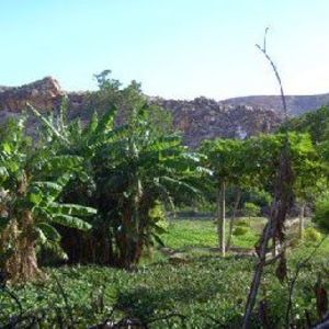 Meet your Posher, Kaarshe