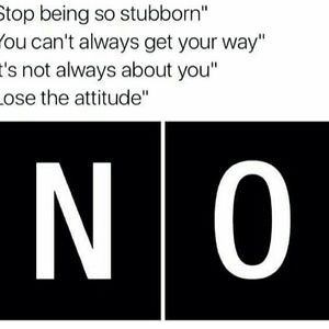 Meet your Posher, Shirley