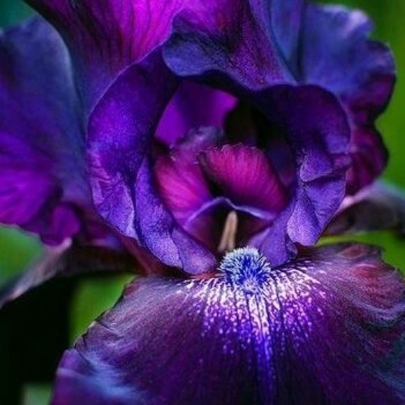 Meet your Posher, Lynda