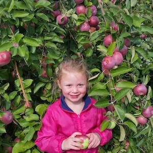 Meet your Posher, Barbara