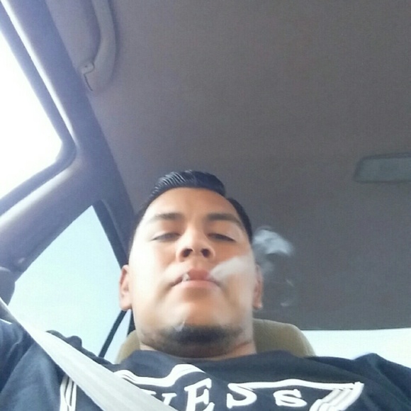 Meet your Posher, Homer - Picture 1 of 1